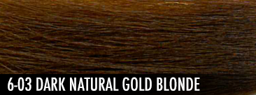 6-03 dark natural gold blonde